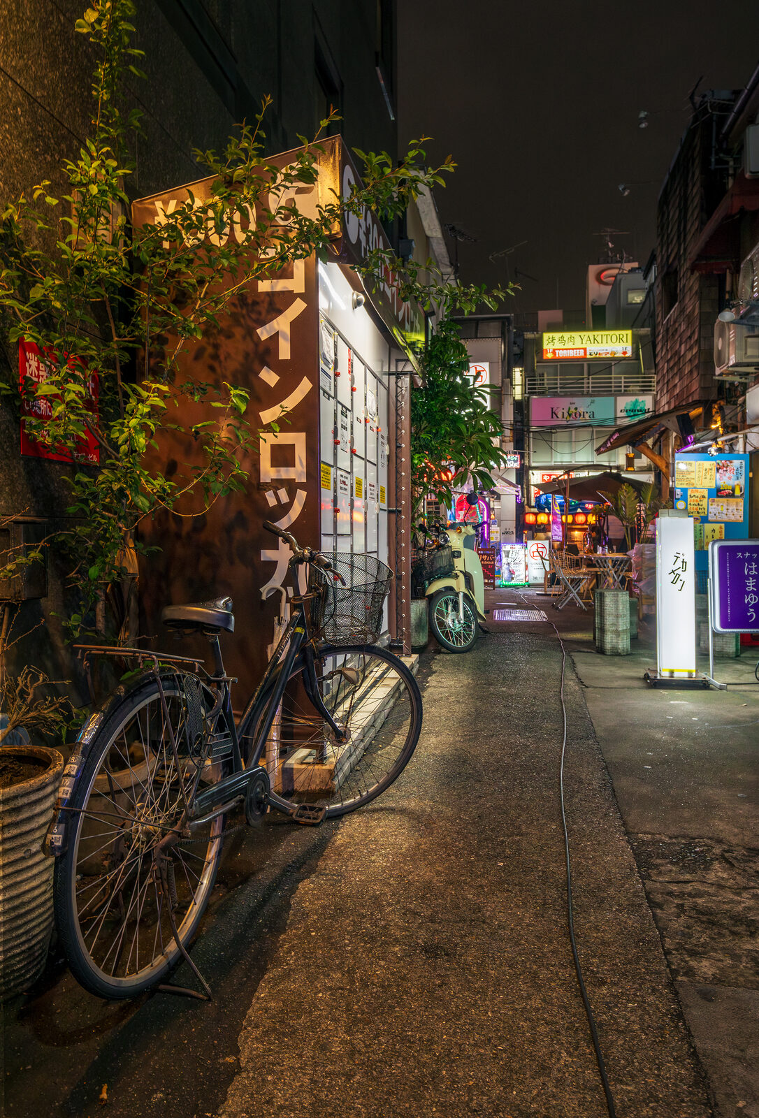 赤提灯が灯る夜の路地